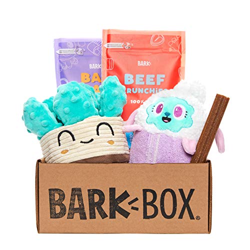 Monthly Dog Supply Subscription Box for Medium Sized Kenya Ubuy