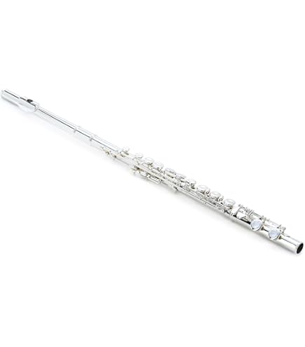 Amazon.com: Armstrong 104 Student Flute with Offset G Key System
