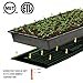 iPower GLHTMTS Durable Waterproof Seedling Heat Mat Warm Hydroponic Plant Germination Starting Pad, 10