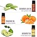 Natrogix Essential Oils 18 Pack 10ml Made in USA 100% Pure Natural Aromatherapy Essential Oil Set Essential Oils for Diffuser Humidifier Massage Hair Skin Care, w/Free E-Book