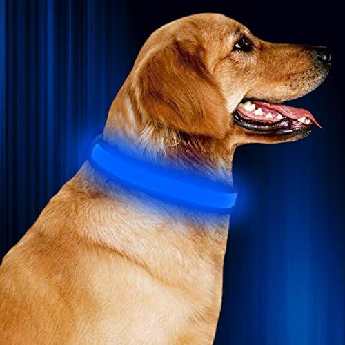 LED Dog Collar, Nylon Webbing Pet Dog Collar, Batteries Reflective Side Adjustable Flashing Light Up Collar with Buckle D-ring Makes Your Pet Safe and Seen for Small Medium Large Dogs (Blue S)