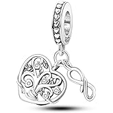 Parmuz 925 Sterling Silver Charms for Bracelet Woman Love Heart Evil Eye Daisy Flower Pendant Beads for Necklace Dog Cat Charm Jewelry Gift for Her