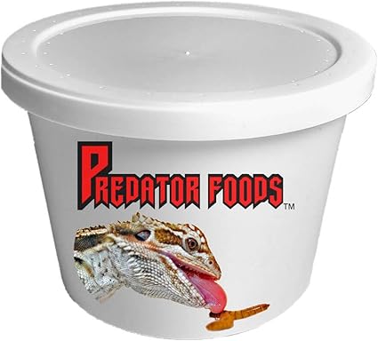 Amazon Com Predator Foods Bulk Super Worms King Worms Medium