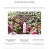 Mamonde Rose Water Toner, 8.45 Ounce