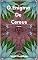 Livro O Enigma De Cereus: Poesias