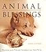 Animal Blessings: Prayers and Poems Celebrating Our Pets by June Cotner
