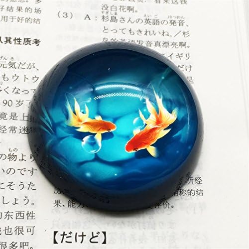 Amazon Com Waltz F Crystal Goldfish Paperweight Galss Globe Hemisphere Home Office Table Decoration Furniture Decor