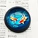 Waltz&F Crystal Goldfish Paperweight Galss Globe Hemisphere Home Office Table Decoration