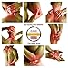 Premium Organic Hemp Cream-Pain Relief for Arthritis, Inflammation & Joint Pain-500mg Pure Hemp Extract w/Arnica Oil-Hemp Salve for Psoriasis, Eczema, Sciatica, Neck, Back and Knees- Made in USA- 2oz