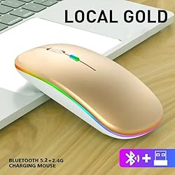 Guiheng Wireless Bluetooth Mouse,LED Dual Mode