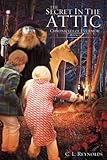 THE SECRET IN THE ATTIC by