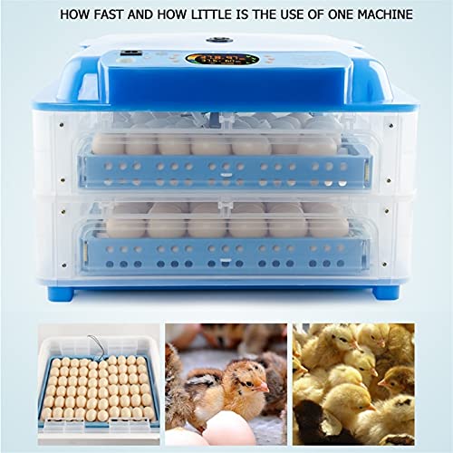 CHICTI Beleuchtung Ei Inkubator Brutmaschine Für Hühner Vollautomatisch Wendung Eier Inkubator Brutgerät Brutapparat… – Bild 6