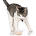 Hartz Delectables Chowder Lickable Wet Cat Treats for Kitten, Adult & Senior Cats, Tuna & Whitefish, 12 Count