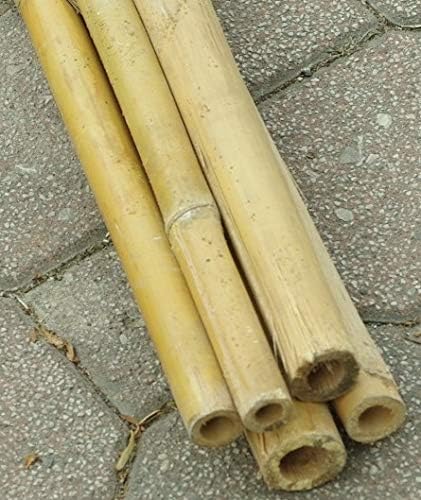 Cañas de bambú para sujetar hortalizas y otros usos, 150 cm ...