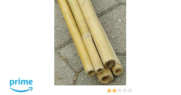 Cañas de bambú para sujetar hortalizas y otros usos, 150 cm ...