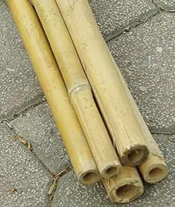 Cañas de bambú para sujetar hortalizas y otros usos, 150 cm ...