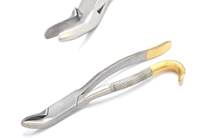 AAProTools Wolf Tooth Extractor Forceps Dental Equine Instruments 9.5" Gold Handle