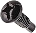 Monoprice 12/24 Screw for Rack, 50 Piece, Carbon Steel, 19mm, Black