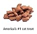 TemTemptations Classic Crunchy and Soft Cat Treats, Savory Salmon Flavor, 16 oz. Tub