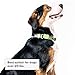Whistle GO/GO Explore/Twist & Go Pet Collars/See Me Green/Large-XLthumb 3