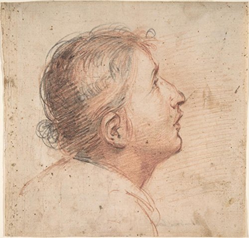 Historic Fine Art Print | Francesco Montelatici (Cecco Bravo) | Youth Gazing Upwards in Profile. | Vintage Wall Art DÃ©cor Poster Reproduction | 16in x 16in