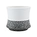 T4U 3.25 Inch Ceramic Korae Style Snow Serial No.3 Succulent Plant Pot/Cactus Plant Pot Flower Pot/Container/Planter