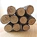 TropicaZona Branch & Twig Assorted Colored, Approx. 5 Inches Long, 12-Pack, Decorative, Novelty Gift Product