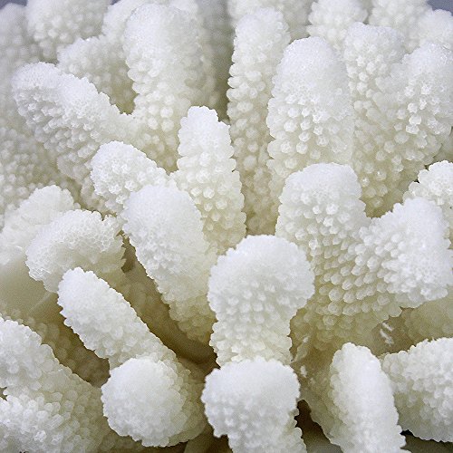image for COMLZD Cauliflower Coral Statue Decorative Accent Resin Sculpture Disp