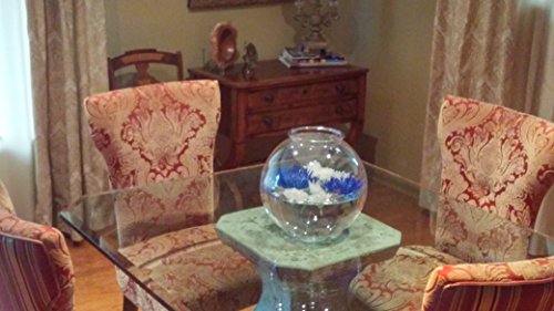 2 Koller+Products+BC044076+BettaTank+2+Gallon