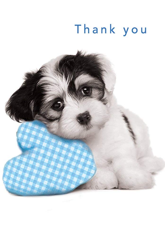 Piccadilly Greetings Cute Occasion Card Thank You - 7 x 5 inches,black white blue