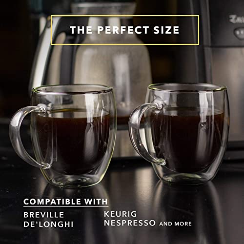 Dragon Glassware Glass Coffee Mugs, Clear Double Wall Insulated Cups