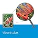 HP 61 | Ink Cartridge | Black | Economy Size | B3B07AN