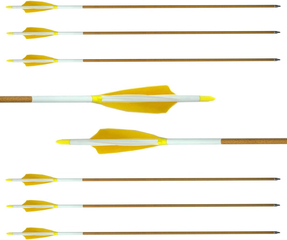 Letszhu Carbon Arrows 500 Spine with 4 Inch Helical Feathers Fletching and Field Points for Archery Targeting Shooting (6 Pack) : Sports & Outdoors