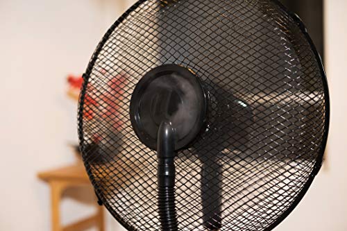 3 Canary+Products+CE134+Intelligent+Oscillating