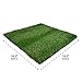 Four Paws Wee-Wee Premium Patch Indoor and Outdoor Pet Potty for Dogs l Dog Potty Training l Artificial Grass l Wee-Wee Patch