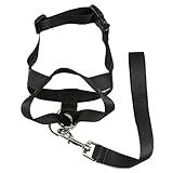 ColorPet Dog Training Halter Head Collar for Dogs Helps Stop Pulling Polyester Large Size(Black)