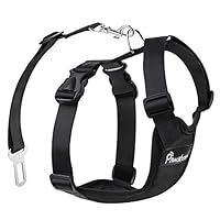 PAWABOO Dog Safety Vest Harness, Pet Dog Adjustable Car Safety Mesh Harness Travel Strap Vest with Car Seat Belt Lead Clip, Suitable for 11 lb-33 lb Dogs, Black