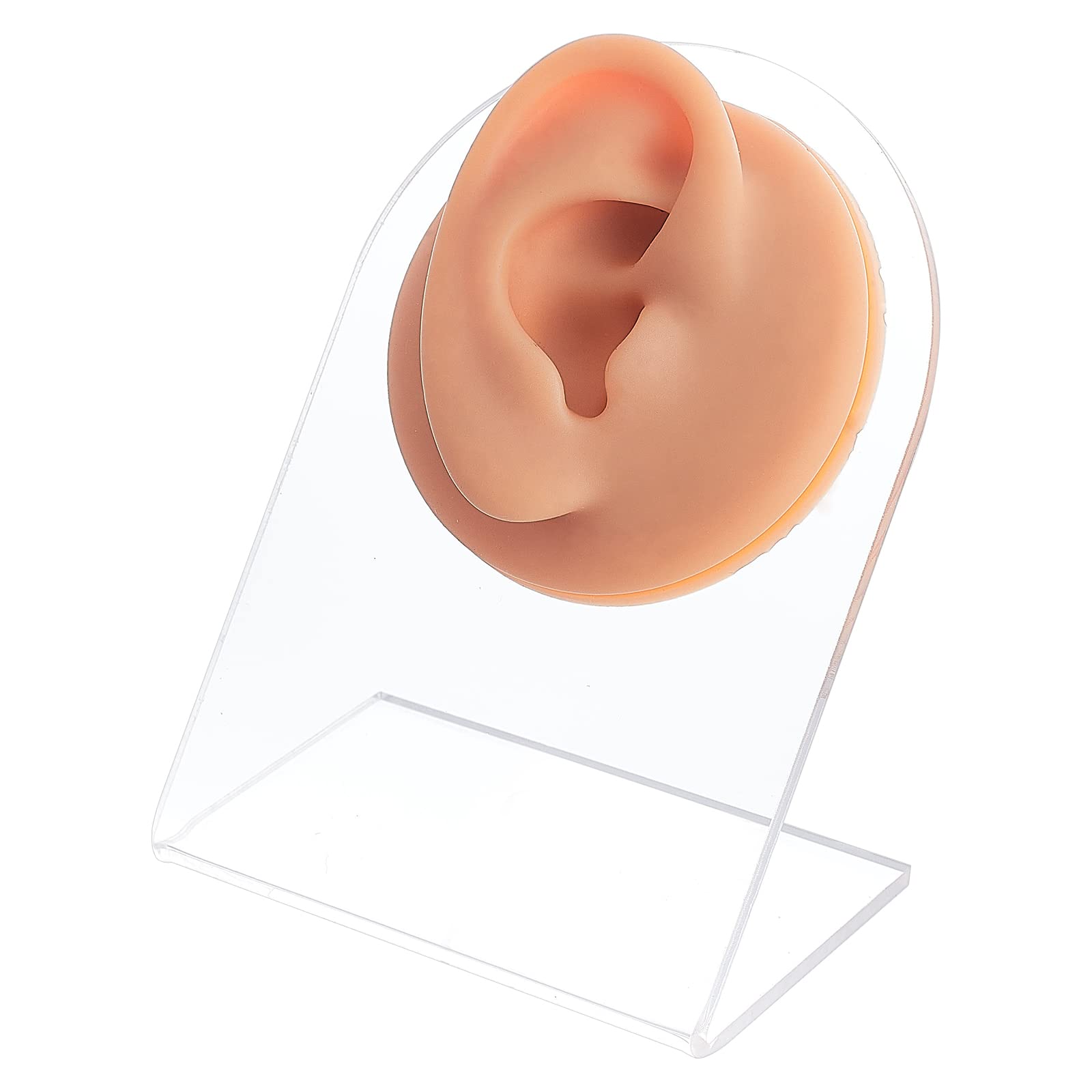 OLYCRAFT Right Ear Display Model Silicone Ear Model for Teaching Tools, Jewelry Display, Piercing Practice