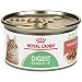 Royal Canin Digest Sensitive Thin Slices in Gravy Wet Cat Food, 3 oz. can (PACK OF 24)