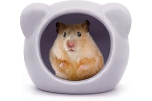 LuckyOpt Ceramic Hamster House, Cute Animal Shaped Hamster Cave, Summer Cool Small Animal Hideout Habitat Decor for Dwarf Hamsters (Purple)