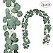 TOPHOUSE 2 Pack Artificial Eucalyptus Garland, 6.5ft Silver Dollar Leaves Fake Greenery Vines for Wedding Backdrop Arch Table Runner Wall Decor, Grey Green