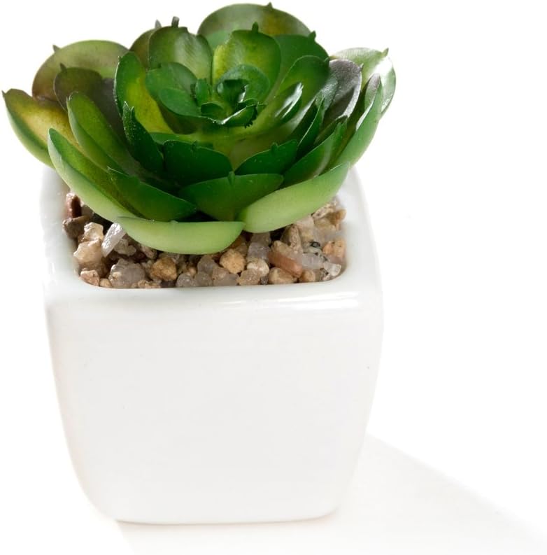 Nattol Small Artificial Succulent Plant Potted in White Ceramic Pots for Home Decor, Set of 4: Home & Kitchen