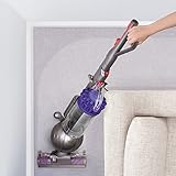 Dyson DC65