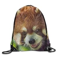 VIMUCIS Lesser Panda Drawstring Backpack Rucksack Shoulder Bags Training Gym Sack For Man And Women