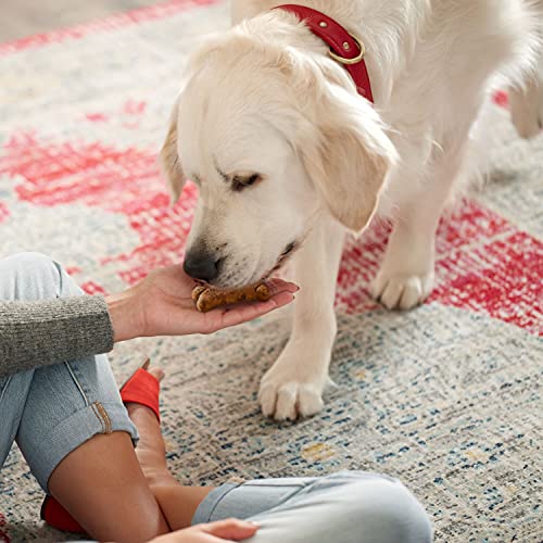 MilkBone Gravy Bones Dog Treats with Savory Meat Flavors, 7 Pounds
