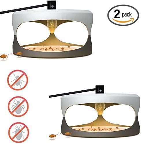 Flea Trap Indoor Plug-in Flea Trap with Light and Heat Attracter (Includes 2-Adhesive Glue-Boards) / Get Rid of All Fleas, Bed Bugs, Flies, Etc. - For Residential and Commercial Use