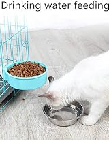 Clover 2-in-1 Stainless Steel Dog Bowl with Stand Small/Medium Dogs view 6