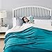 Bedsure GentleSoft Sherpa Fleece Blankets Queen Size for Bed - Thick and Warm, Soft Fuzzy Plush Queen Blanket for Winter, Teal, 90x90 Inches