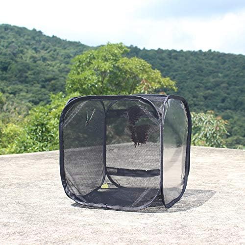 BANCHUN All Black insect cage foldable plant warm-transmittance observation room insect incubator butterfly cage