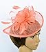 Womens Formal Party Fascinator Hat with Headband for Cocktail Watermelon Red